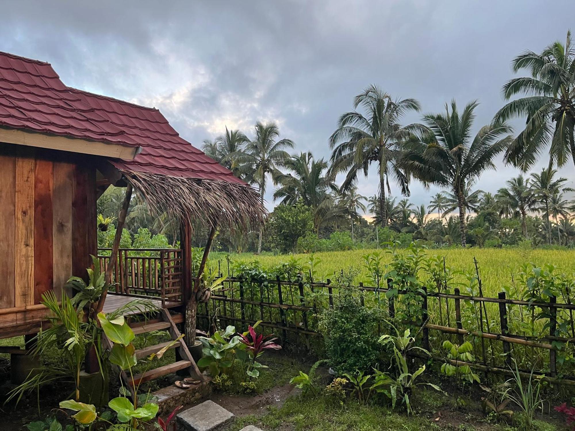 Syaqila Homestay Lombok Tetebatu Exterior foto