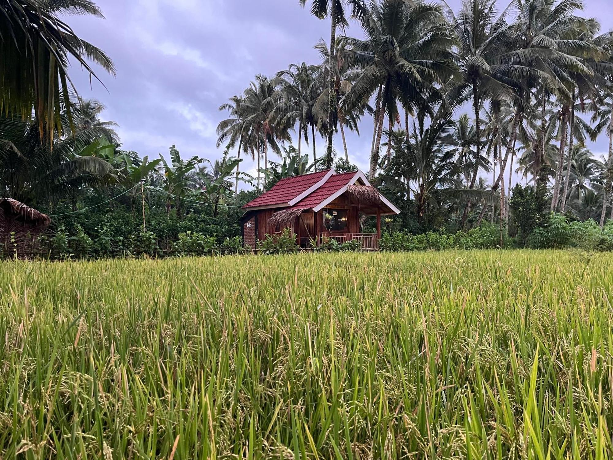 Syaqila Homestay Lombok Tetebatu Exterior foto